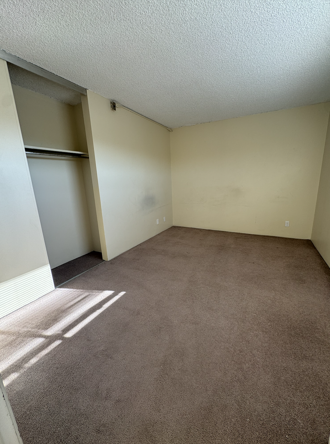 4131 11th Avenue Northeast