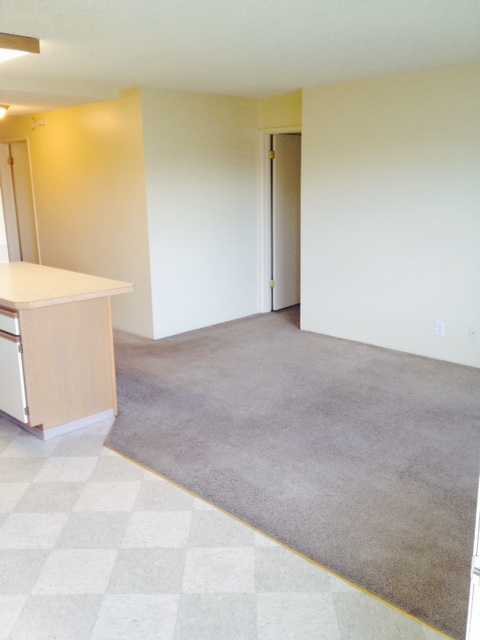 4131 11th Ave. NE - 504