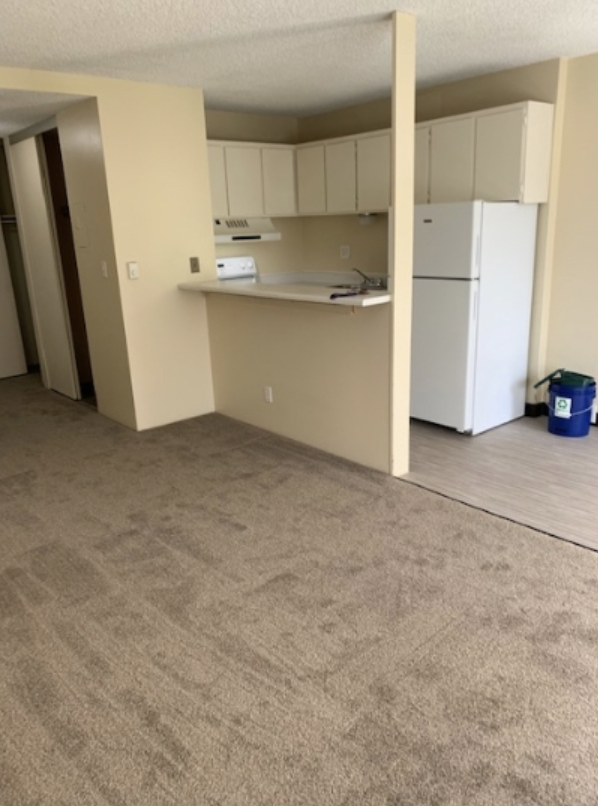 4131 11th Ave. NE - 205