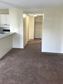 4131 11th Ave. NE - 803