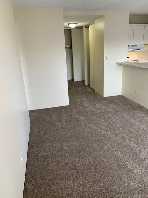 4131 11th Ave. NE - 603